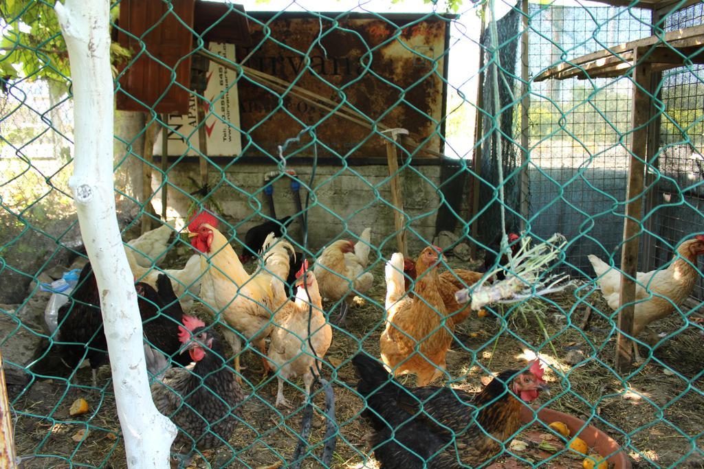 Nirvana Hotel Gocek  Bagian luar foto